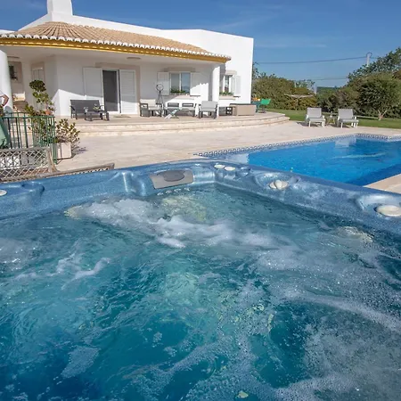 Amazing In - Alke Vida *