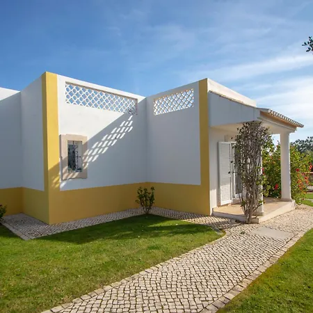 Amazing In - Alke Vida فيلة