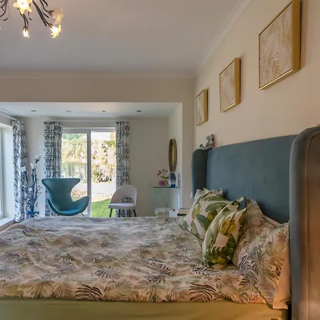 Amazing In - Alke Vida