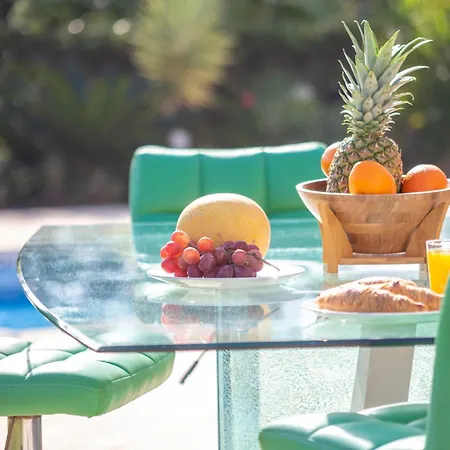 Amazing In - Alke Vida فيلة البوفيرا