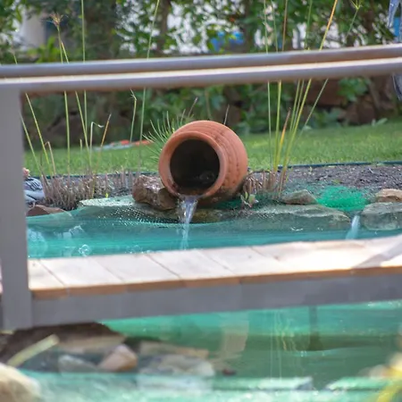 Amazing In - Alke Vida البوفيرا