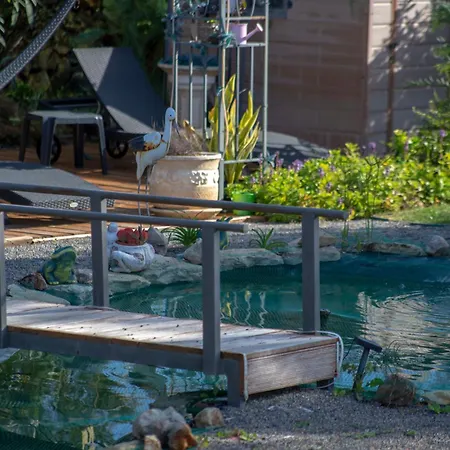 Amazing In - Alke Vida فيلة *