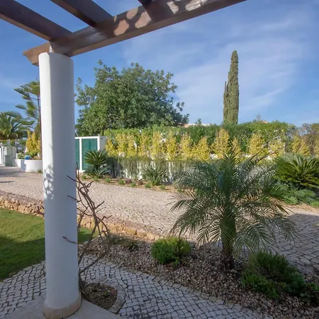 Amazing In - Alke Vida * البوفيرا