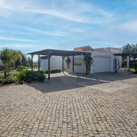 Amazing In - Alke Vida