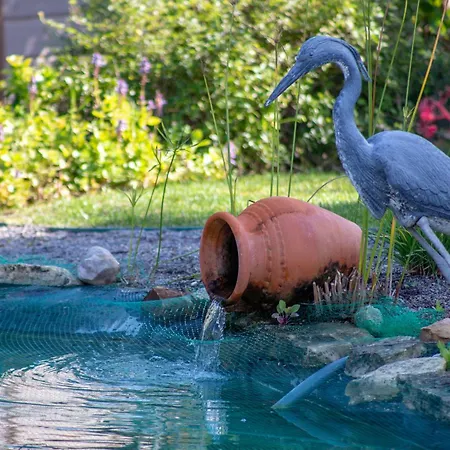 别墅 Amazing In - Alke Vida