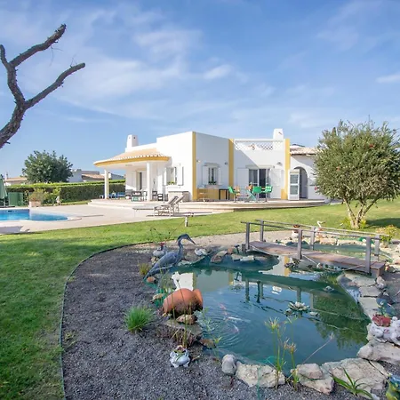 Amazing In - Alke Vida