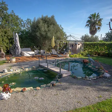 Amazing In - Alke Vida